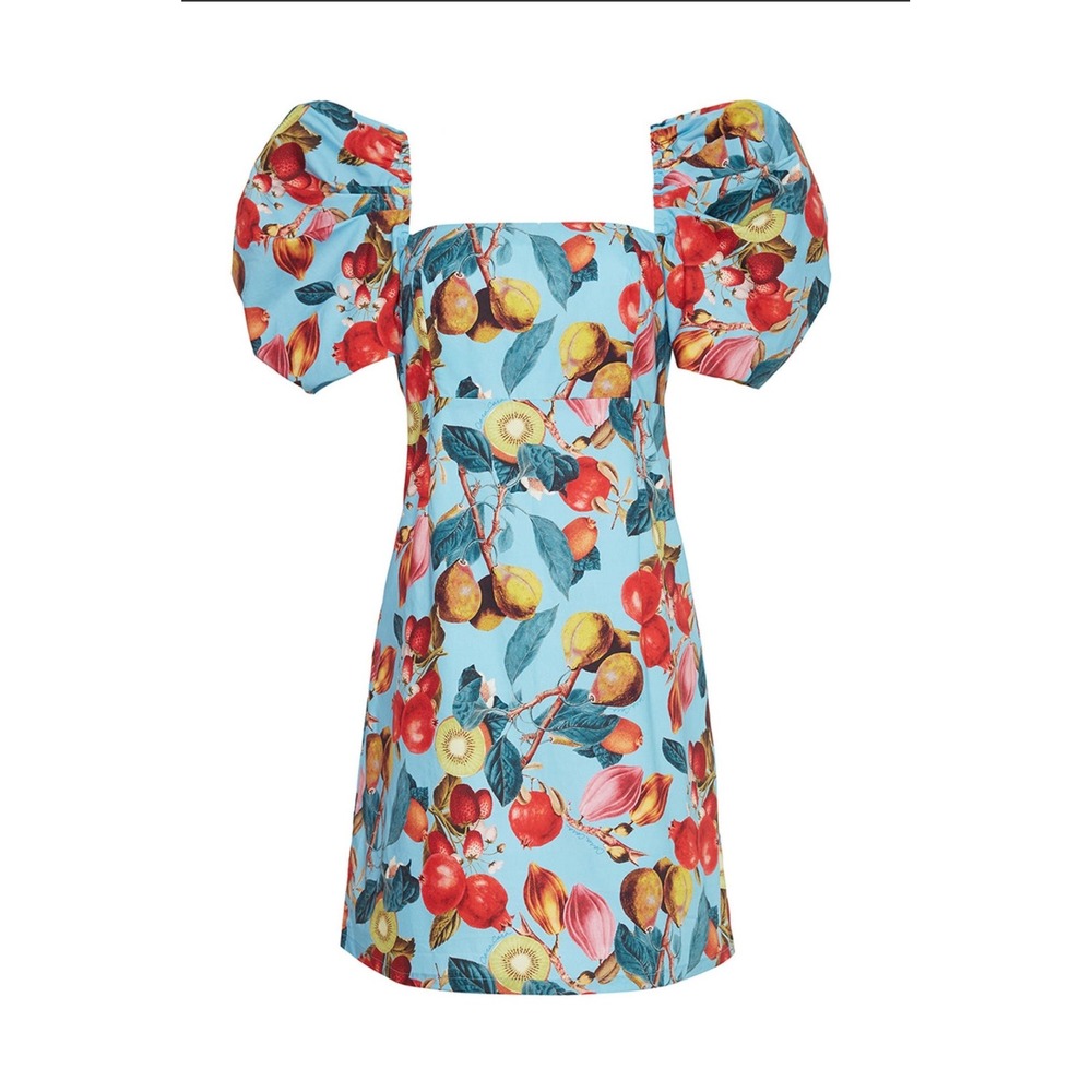 Cara Cara Kelly Mini Dress Blue Fruit Print Puff Sleeve Cotton Boho Smocked